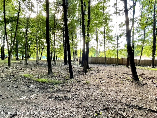 7 Dixon Ave, Woodstock, NY 12498 - view of nature