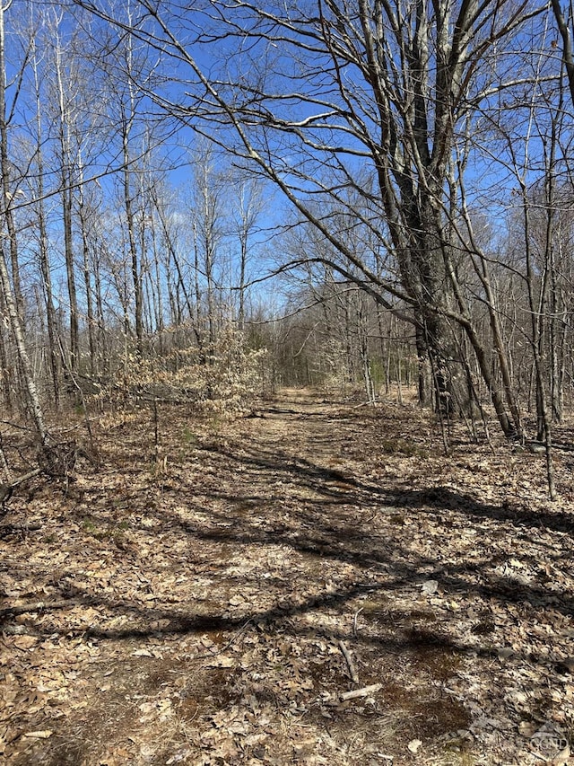 230 S Rd, Averill Park, NY 12018 - photo 42
