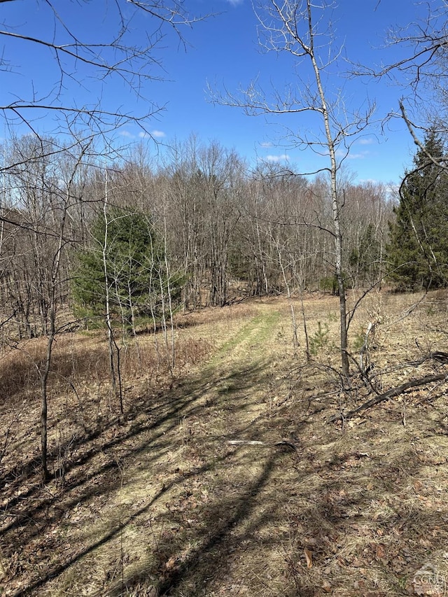 230 S Rd, Averill Park, NY 12018 - photo 41