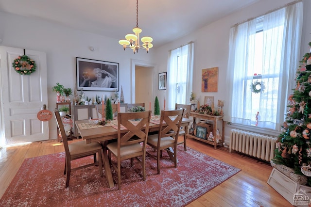 dining room with radiator heating unit, a chandelier, and light wood-type flooring
