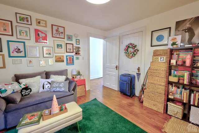 living area featuring wood finished floors
