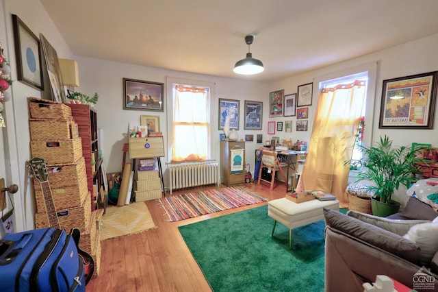 sitting room featuring radiator heating unit, healthy amount of natural light, and wood finished floors