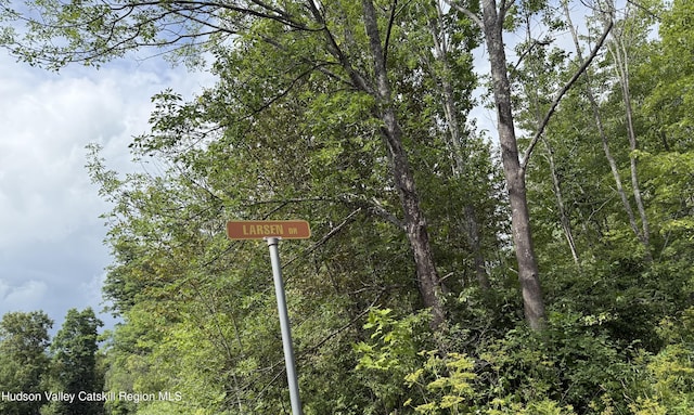 0 Larsen Dr, Windham, NY 12496 - photo 7