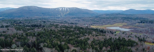 0 Larsen Dr, Windham, NY 12496 - photo 4
