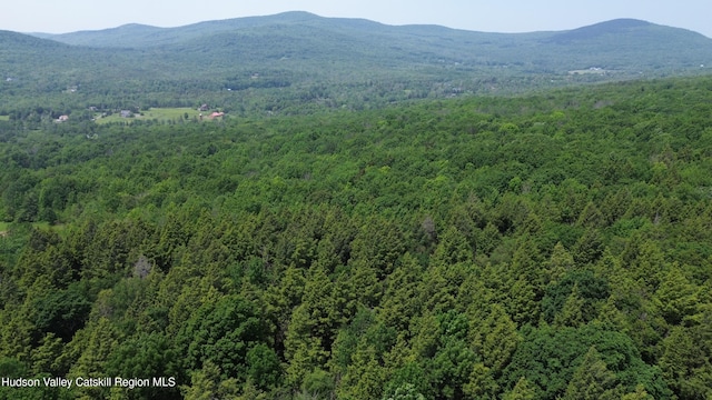 0 Larsen Dr, Windham, NY 12496 - photo 2