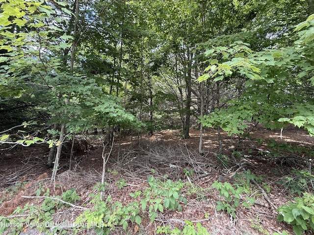 0 Larsen Dr, Windham, NY 12496 - photo 6
