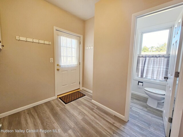 doorway with plenty of natural light and light wood-type flooring