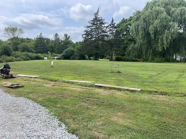 2938 Sunset Blvd Blvd, Stottville, NY 12172 - photo 28