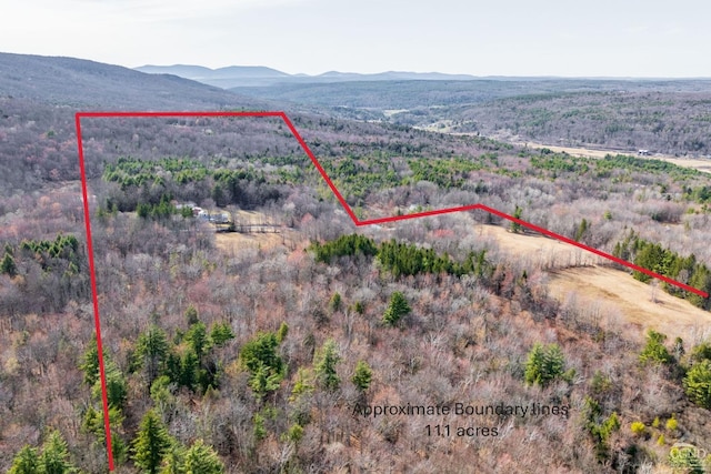 161 Beaver Hill Rd, Gilboa, NY 12076 - aerial view of property's location with property parcel outlined, a mountainous background, and a forest
