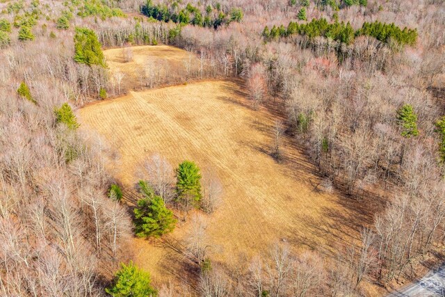 161 Beaver Hill Rd, Gilboa, NY 12076 - bird's eye view