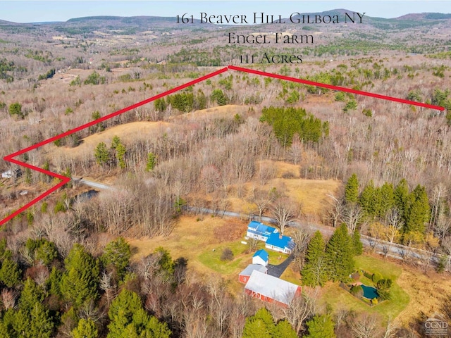 161 Beaver Hill Rd, Gilboa, NY 12076 - aerial view of property and surrounding area with property boundaries highlighted