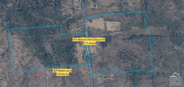 161 Beaver Hill Rd, Gilboa, NY 12076 - map / location