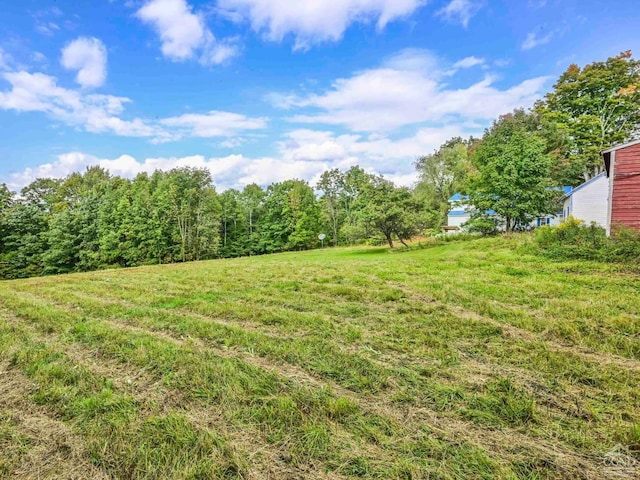 161 Beaver Hill Rd, Gilboa, NY 12076 - view of yard