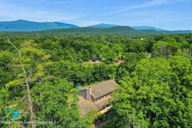 14 Glenerie Ln, Saugerties, NY 12477 - aerial view of a forest and a mountainous background