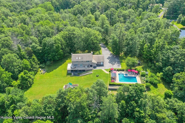 14 Glenerie Ln, Saugerties, NY 12477 - view from above of property with a pool area and a heavily wooded area