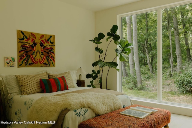 50 High View Ln, Staatsburg, NY 12580 - view of bedroom