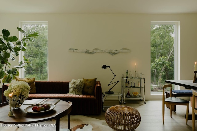 50 High View Ln, Staatsburg, NY 12580 - living room featuring light wood-style floors