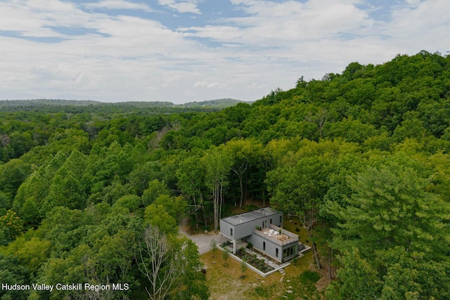 50 High View Ln, Staatsburg, NY 12580 - photo 28