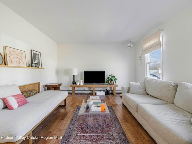 living room featuring wood-type flooring