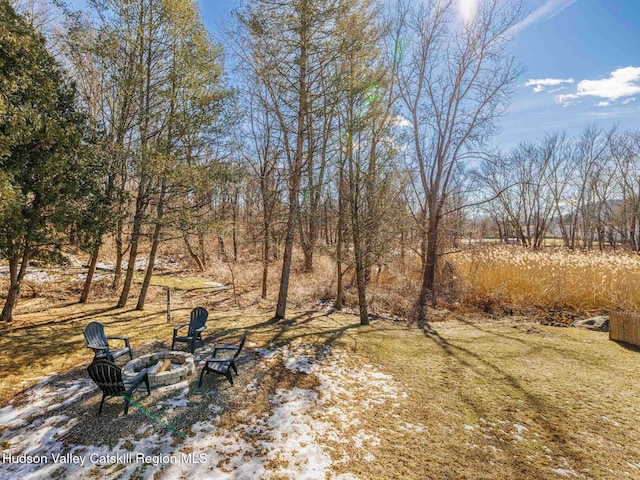 view of yard with an outdoor fire pit