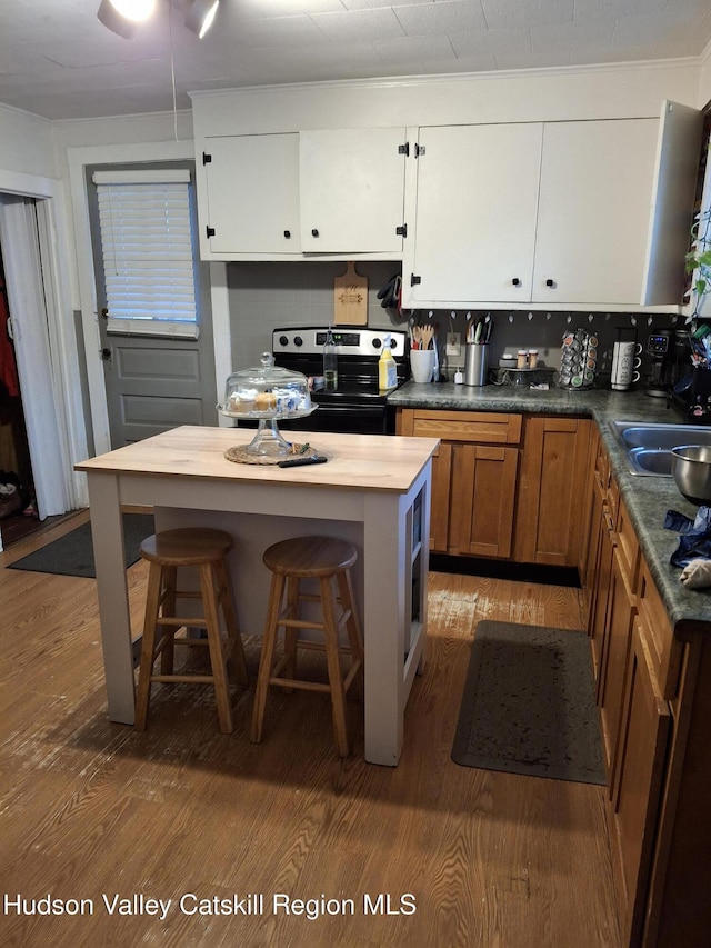 kitchen with wood finished floors, white cabinetry, a sink, and stainless steel electric stove