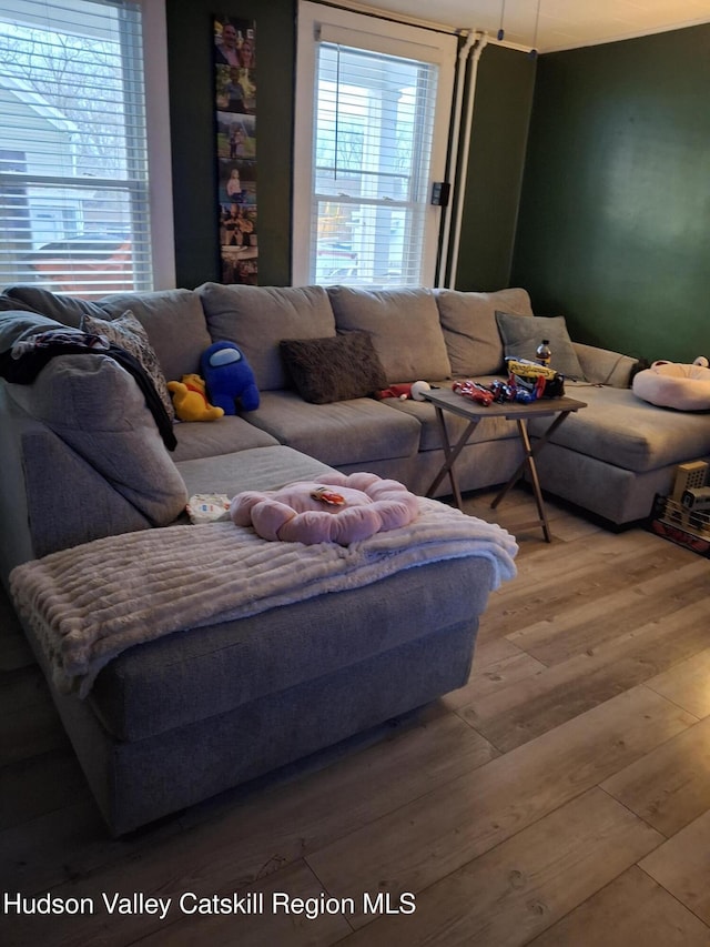 living room featuring wood finished floors