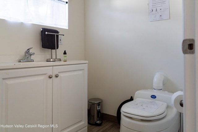 bathroom with vanity, wood-type flooring, and toilet