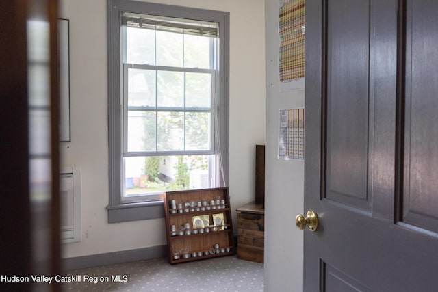 foyer entrance featuring plenty of natural light