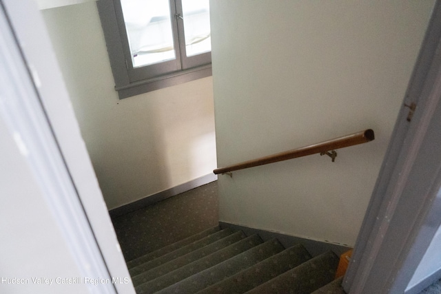 staircase with carpet flooring