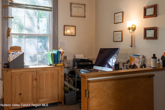 office featuring a healthy amount of sunlight