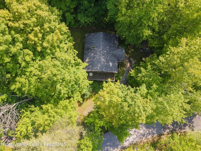 101 Hunter Ln, Hunter, NY 12442 - view of subject property