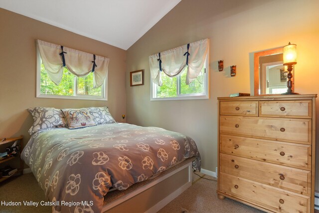 101 Hunter Ln, Hunter, NY 12442 - carpeted bedroom featuring lofted ceiling and baseboards