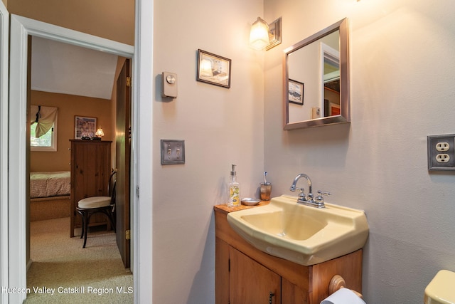 101 Hunter Ln, Hunter, NY 12442 - bathroom featuring vanity and toilet