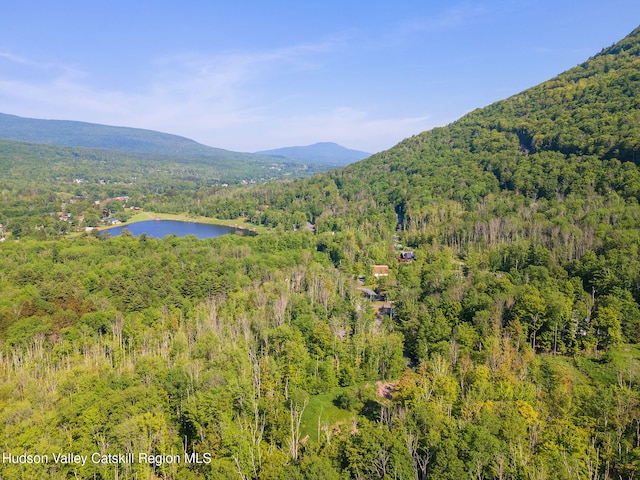 101 Hunter Ln, Hunter, NY 12442 - view of mountain background featuring a forest and a large body of water