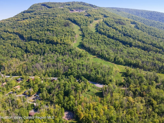 101 Hunter Ln, Hunter, NY 12442 - aerial view of property and surrounding area featuring a forest and a mountainous background