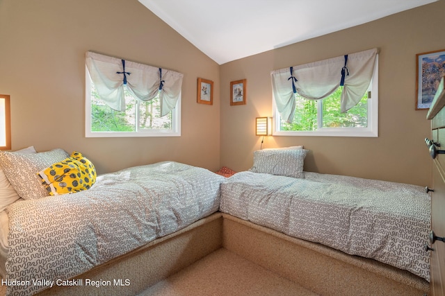 101 Hunter Ln, Hunter, NY 12442 - bedroom featuring lofted ceiling