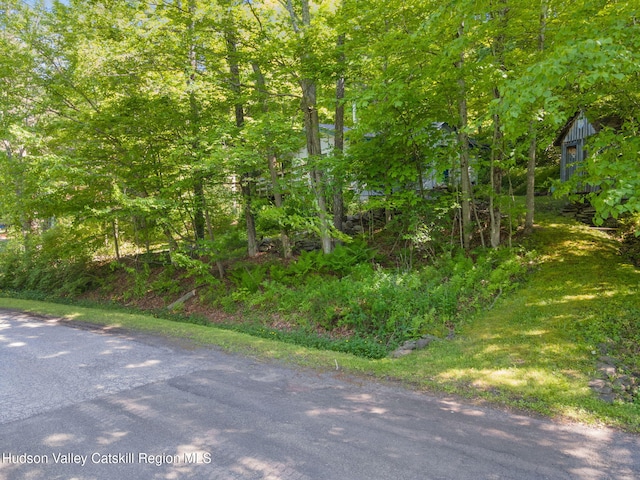 101 Hunter Ln, Hunter, NY 12442 - view of asphalt street