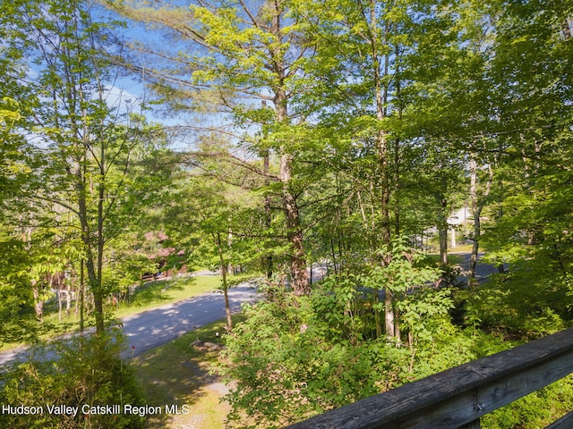 101 Hunter Ln, Hunter, NY 12442 - view of road