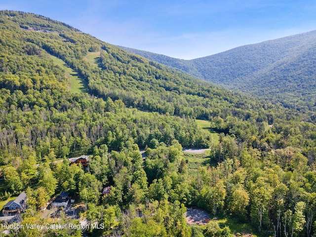 101 Hunter Ln, Hunter, NY 12442 - view of mountain background featuring a forest