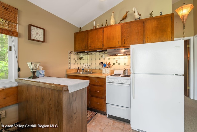 101 Hunter Ln, Hunter, NY 12442 - kitchen featuring white appliances, under cabinet range hood, lofted ceiling, a sink, and backsplash