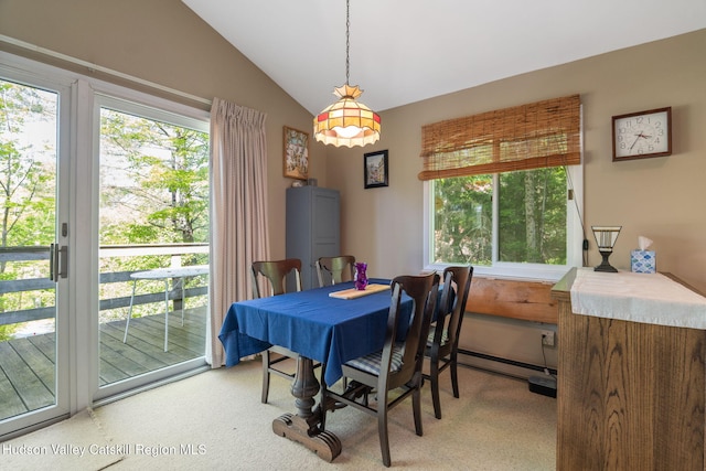 101 Hunter Ln, Hunter, NY 12442 - carpeted dining space featuring plenty of natural light and vaulted ceiling