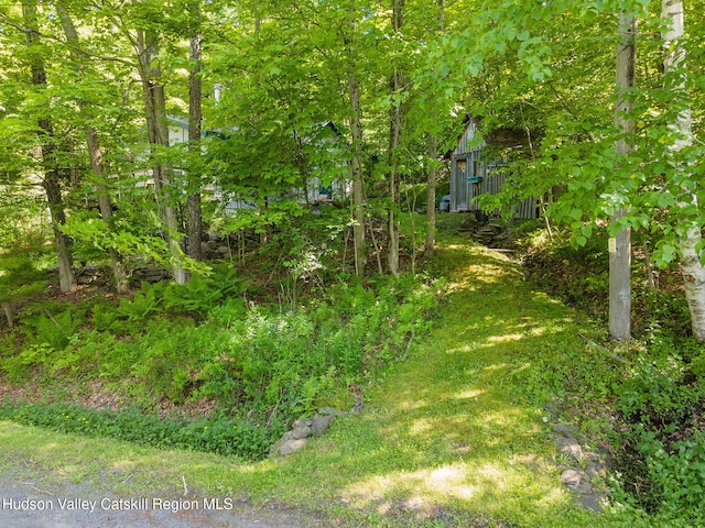 101 Hunter Ln, Hunter, NY 12442 - view of yard with a wooded view
