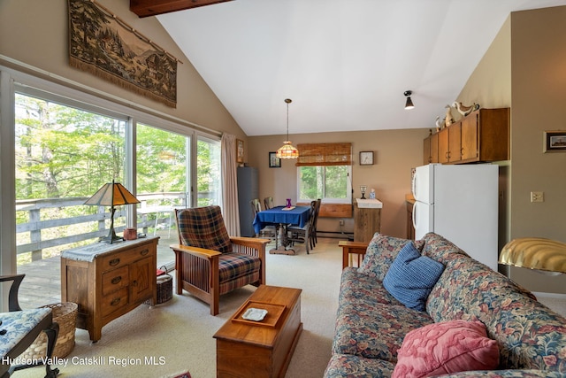 101 Hunter Ln, Hunter, NY 12442 - living room with light colored carpet, high vaulted ceiling, and baseboard heating