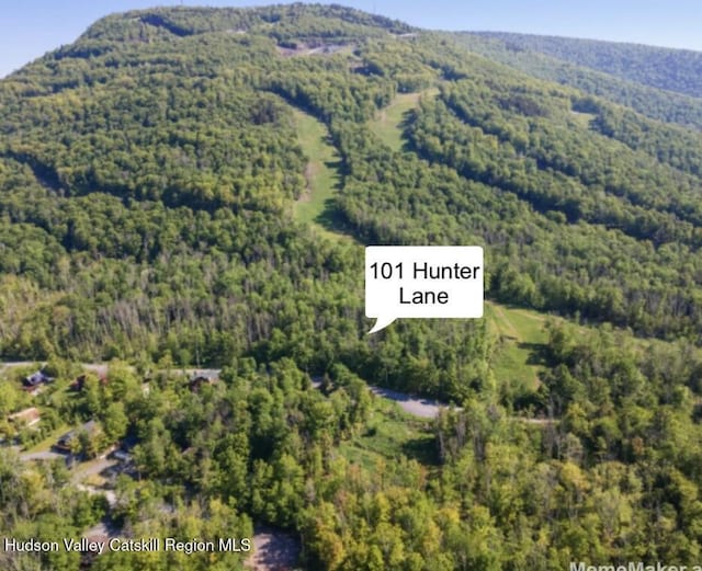 101 Hunter Ln, Hunter, NY 12442 - aerial view of property and surrounding area featuring a heavily wooded area and a mountainous background