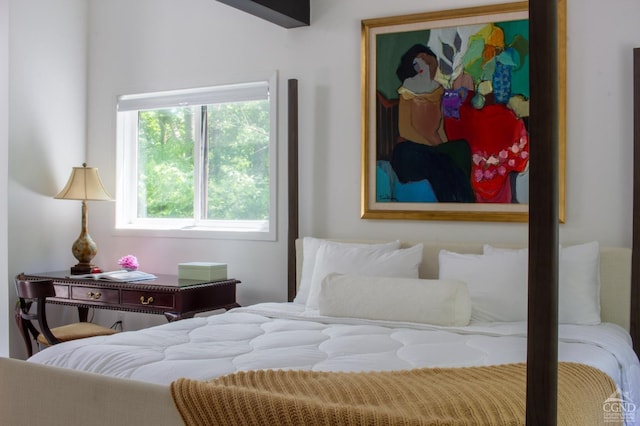 41 Snydertown Rd, Craryville, NY 12521 - view of bedroom