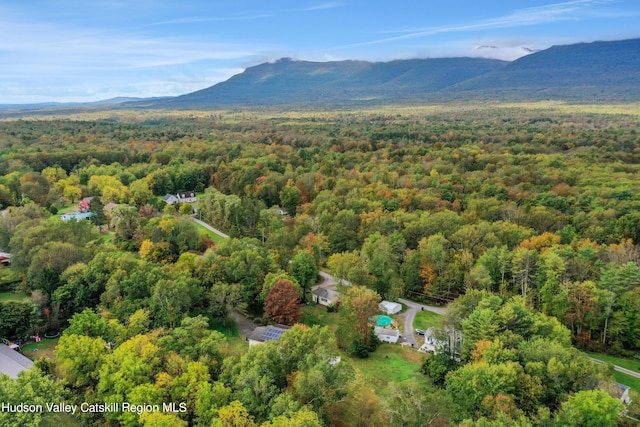 bird's eye view featuring a mountain view