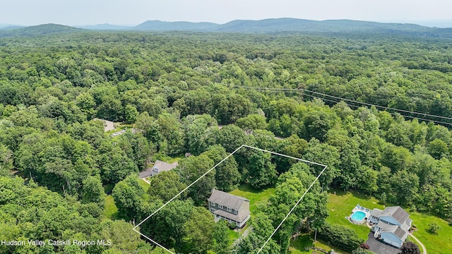 221 Rabbit Run Rd, Clintondale, NY 12515 - photo 3