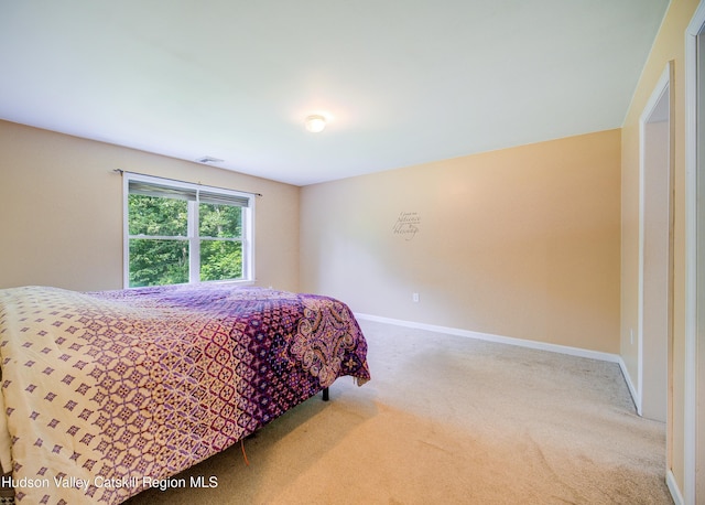 221 Rabbit Run Rd, Clintondale, NY 12515 - photo 25