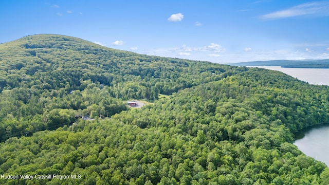Tbd State Route 28, Boiceville, NY 12412