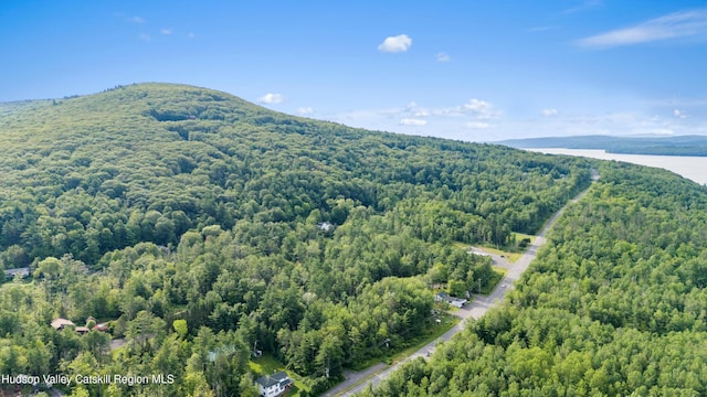 Tbd State Route 28, Boiceville, NY 12412
